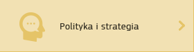 Polityka i strategia